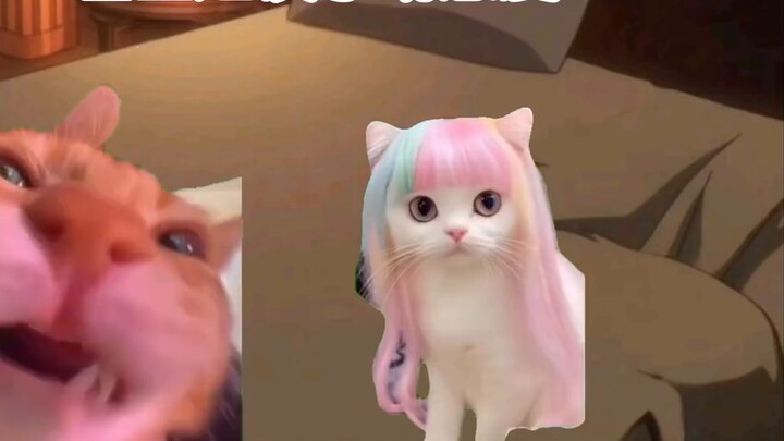 1 minute 23 seconds to speed through Dior's life