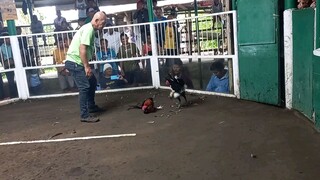 buti aktibo sya kahit natakbo na kalaban