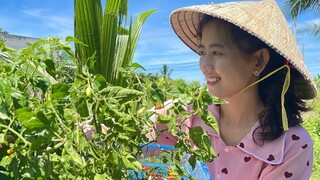 Thơm Ngon Lẩu Gà Nấu Ớt Hiểm Mừng Bà Cồ Ghé Thăm | NĐMT#296