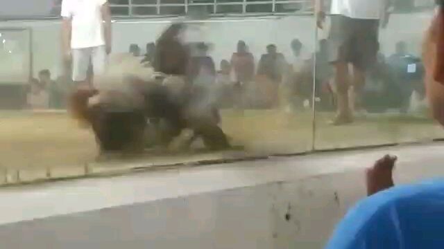 2ndfight 2hits gbsweater @ norzagaray cockpit arena