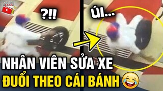 Tin 3 Phút Hài | Tổng hợp những tình huống hài hước 'KHÓ ĐỠ' khiến người ta 'DỞ KHÓC DỞ CƯỜI'