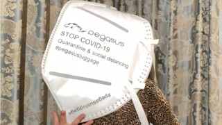 قناع خارق ورائع للغاية، يجعل الوجه يبدو أصغر، جميل جدًا عند ارتدائه