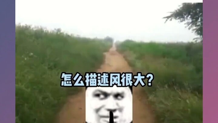ดูทีไรก็หัวเราะทุกที