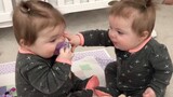 วิดีโอตลก Twin Baby จะทำให้คุณยิ้มได้