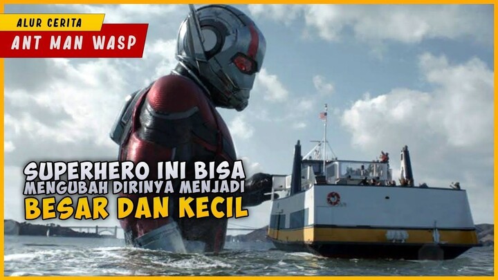Superhero Yang Bisa Merubah Bentuknya Menjadi Seukuran Semut  ANT MAN AND THE WA