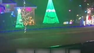 Two Christmas trees are actually quarreling