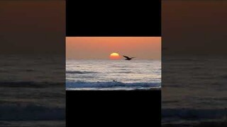 Fatigued Short    #fatigue #twilight  #rest #fate