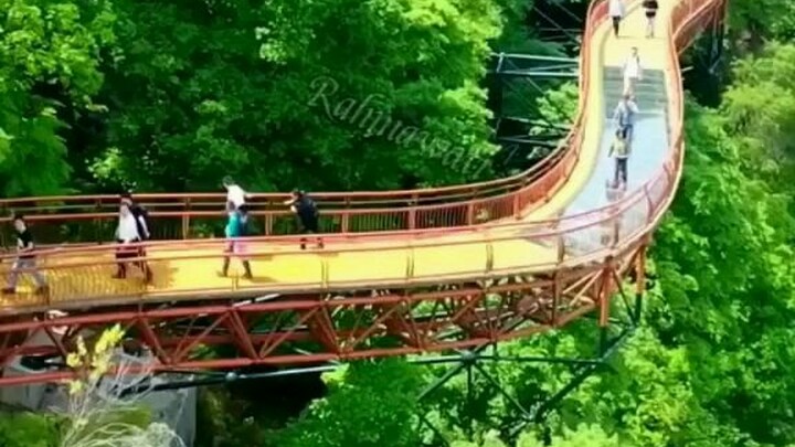 tiko tiko bagu baru 23 45