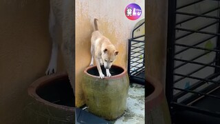 Thời tiết thay đổi tính nết 😅 #Shorts #Yeulu #Yeuluofficial