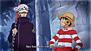 setidak nya curiga sedikitlah Luffy🤣