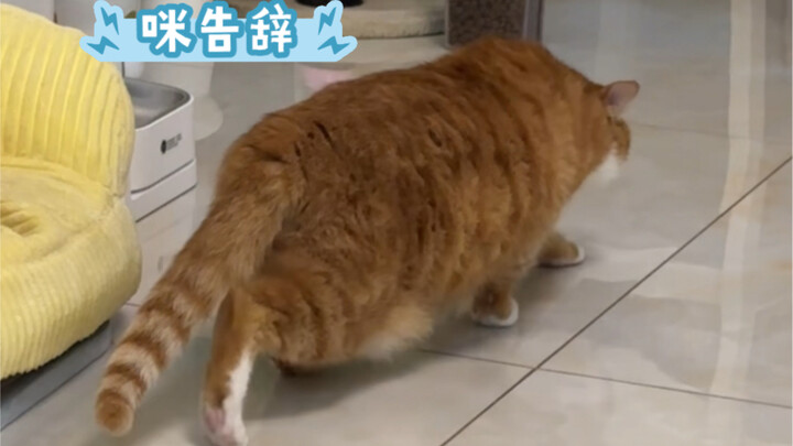 Kẻ thù suốt đời của Mimi: Sấm sét