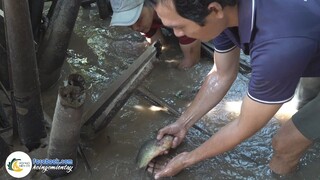 Anh Em Trở Lại Săn Bắt Mùa Tết | Hội Ngộ Miền Tây - Tập 599