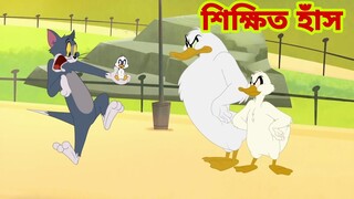 Tom and Jerry | Tom and Jerry Bangla | cartoon | Tom and Jerry cartoon | Bangla Tom and Jerry