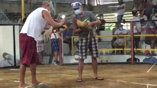 sante gameyard 3fight win