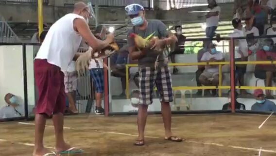 sante gameyard 3fight win