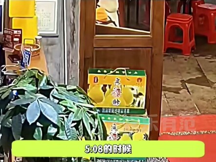 Wah, ini benar-benar kucing keberuntungan nih~
