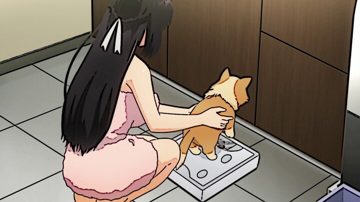 ㅤㅤㅤㅤㅤ