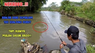 NEKADD..!! Mancing Setelah Banjir Semalam... IKANYA MALAH GALAK!!