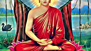 Wisdom of the Buddha    🙏🙏🙏