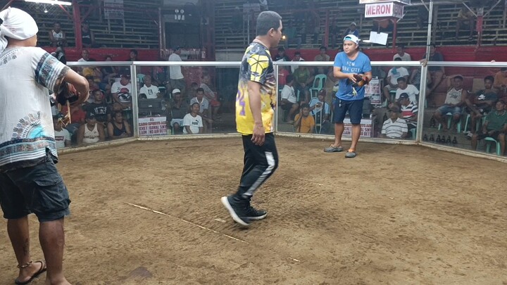 sweater x gilmore win