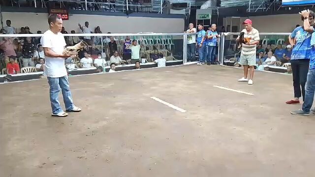 Araw ng Davao 2026 Reliable Hennie