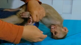 Little Yaya was angry with Mom doesn't want to take out sticky rice from her cheek