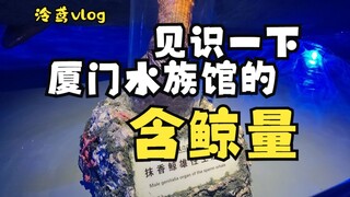【泠鸢vlog】和hanser一起见识一下鼓浪屿海底世界！【抹香鲸标本】