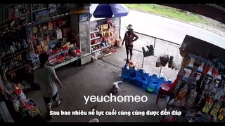=)))))cồng kềnh lắm