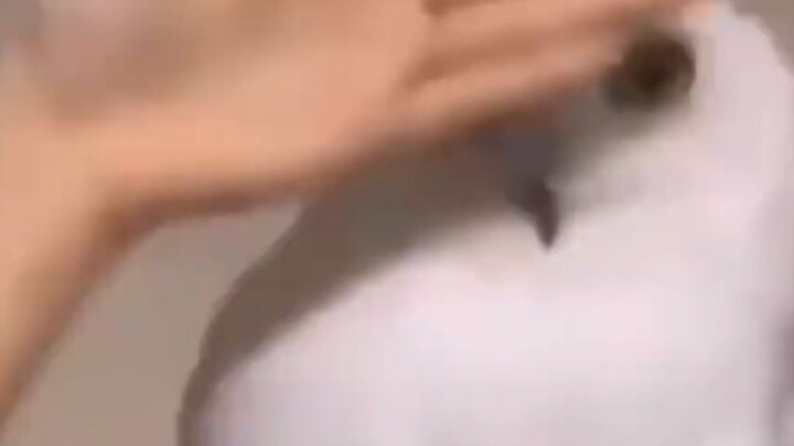 A hexagonal female warrior with every buff stacked to the max!