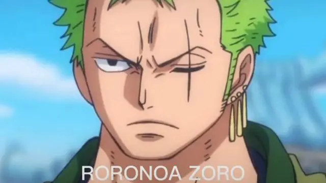zoro and his problems😆