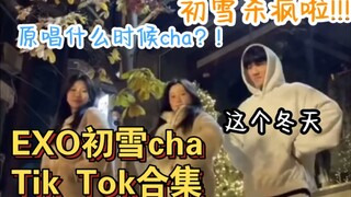 โอ้โห! ปีนี้ EXO Chuxue ปังมาก! ทำลายสถิติสูงสุดในชาร์ตประจำวัน! Chuxuecha กำลังได้รับความนิยมมากขึ้
