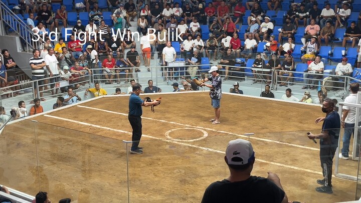 6 Stag Derby Finals CHAMPION