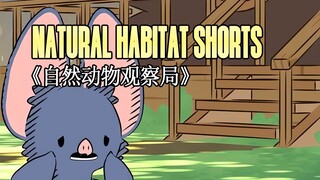 220623《自然动物观察局》- Natural Habitat Shorts