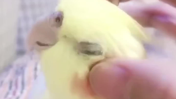 Nide’s pretty big, but I can handle it.