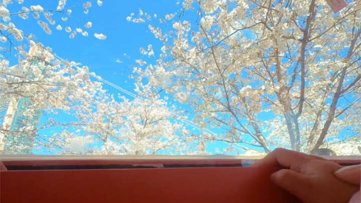 Baby’s Perspective: It Turns Out Scenic Views Are Even More Beautiful Through a Baby’s Eyes!