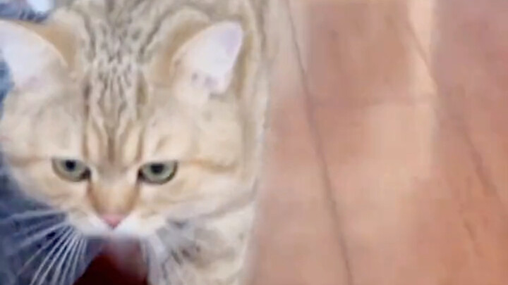 Một ngày hút dưới 3 gói thì không thể có được chất giọng này đâu!