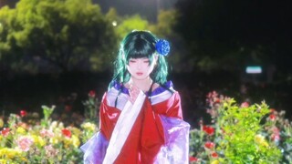Beautiful cat dances under the moon｜The Whisper of the Medicine House Girl₍˄·x·˄₎◞
