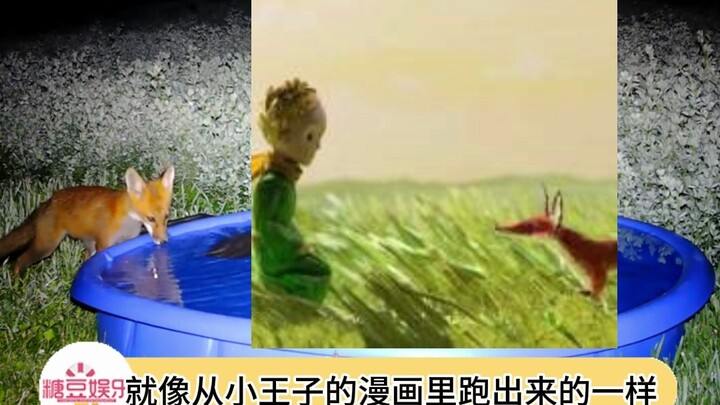 Có thể thấy mọi người đều khá hài lòng với chiếc chậu nước này!