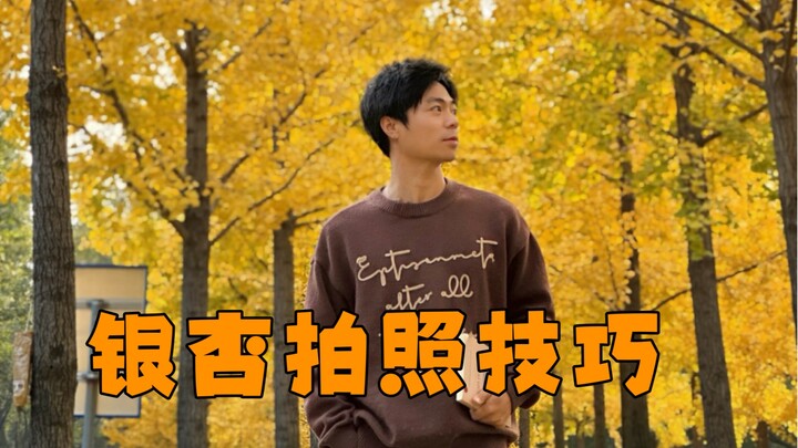 Tutorial praktis memotret ginkgo, pelajari cara ini dan setiap foto akan sempurna!