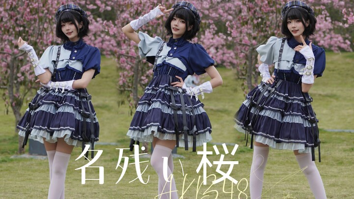 AKB48 — Sisa Sakura 🌸 [Sisa Sakura] Akhirnya merekam single sakura 【33】 di bawah pohon sakura!