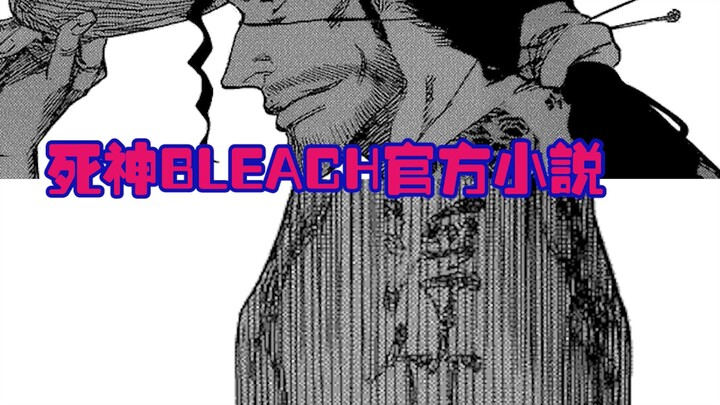 [BLEACH Bleach] Warm daily life after the thousand-year bloody battle 04: The eternal role model and