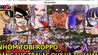 Trái ác quỷ và thứ hạng của các thành viên nhóm Tobi Roppo 1