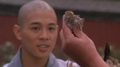 Jet Li [1986] - Shaolin Temple 3