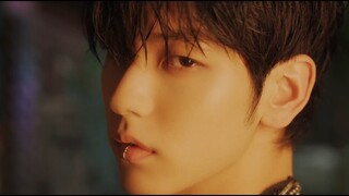 TXT回归预告公开