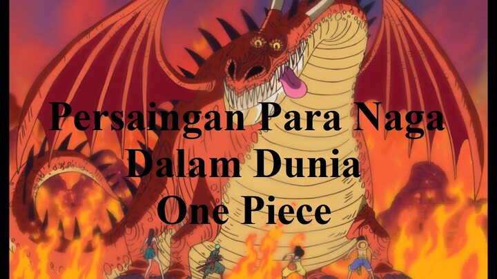 Persaingan Para Naga Dalam Dunia One Piece