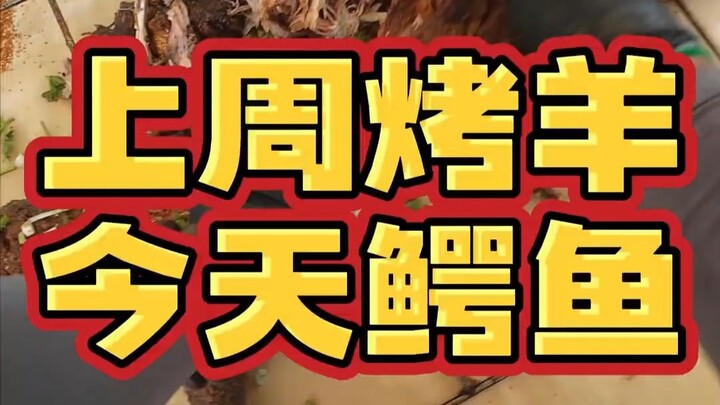 Pekan lalu bos baru aja makan domba panggang utuh, hari ini malah panggang buaya lagi!