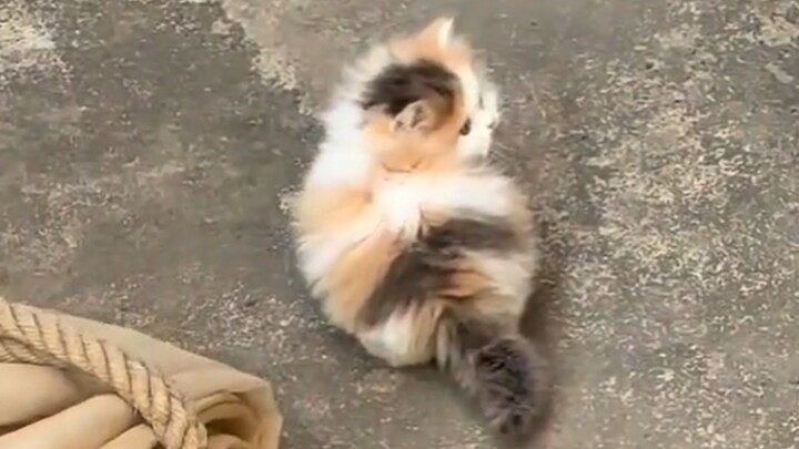 รีบหน่อย ของหมดแล้ว!