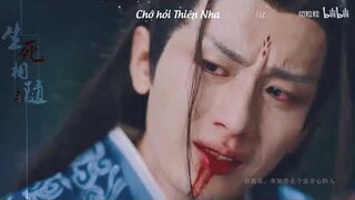 [FMV Lưu Ly Mỹ Nhân Sát] Tư Phượng - Toàn Cơ | Vietsub Ngược Tâm