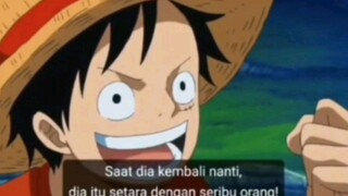 Zoro engga mau kalah telak haha👍😁