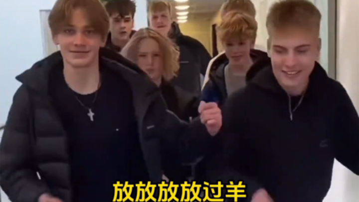 It takes foreigners to make a fool of themselves.